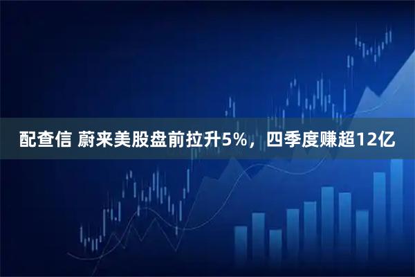 配查信 蔚来美股盘前拉升5%，四季度赚超12亿