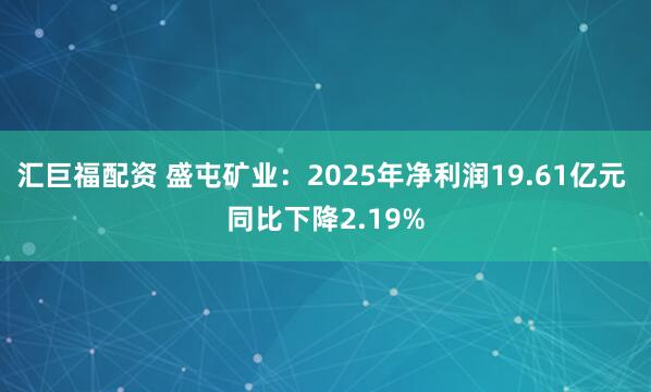 汇巨福配资 盛屯矿业：2025年净利润19.61亿元 同比下降2.19%